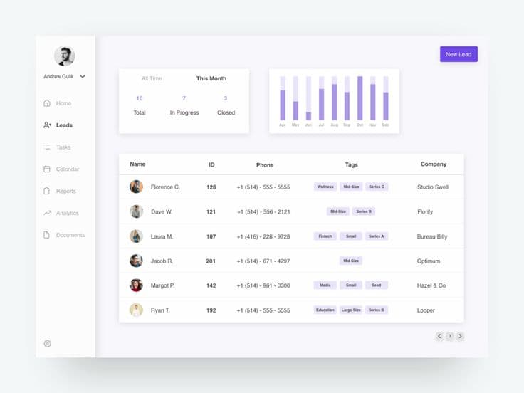 CRM Leads